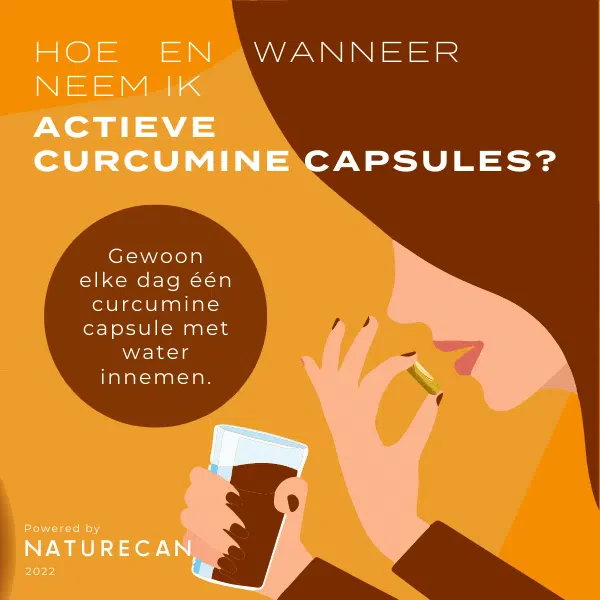 Actieve Curcumine - Image 8