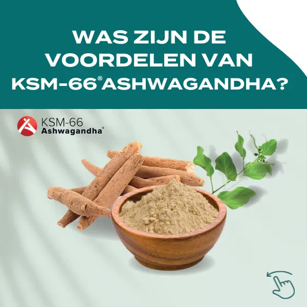 KSM-66® Ashwagandha - Image 4