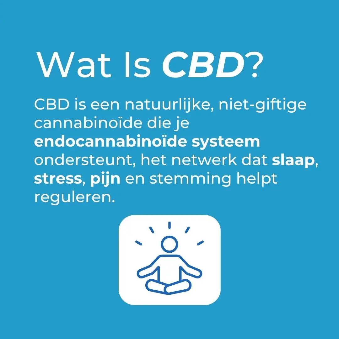 CBD Ashwagandha Relax Gummies - Image 3