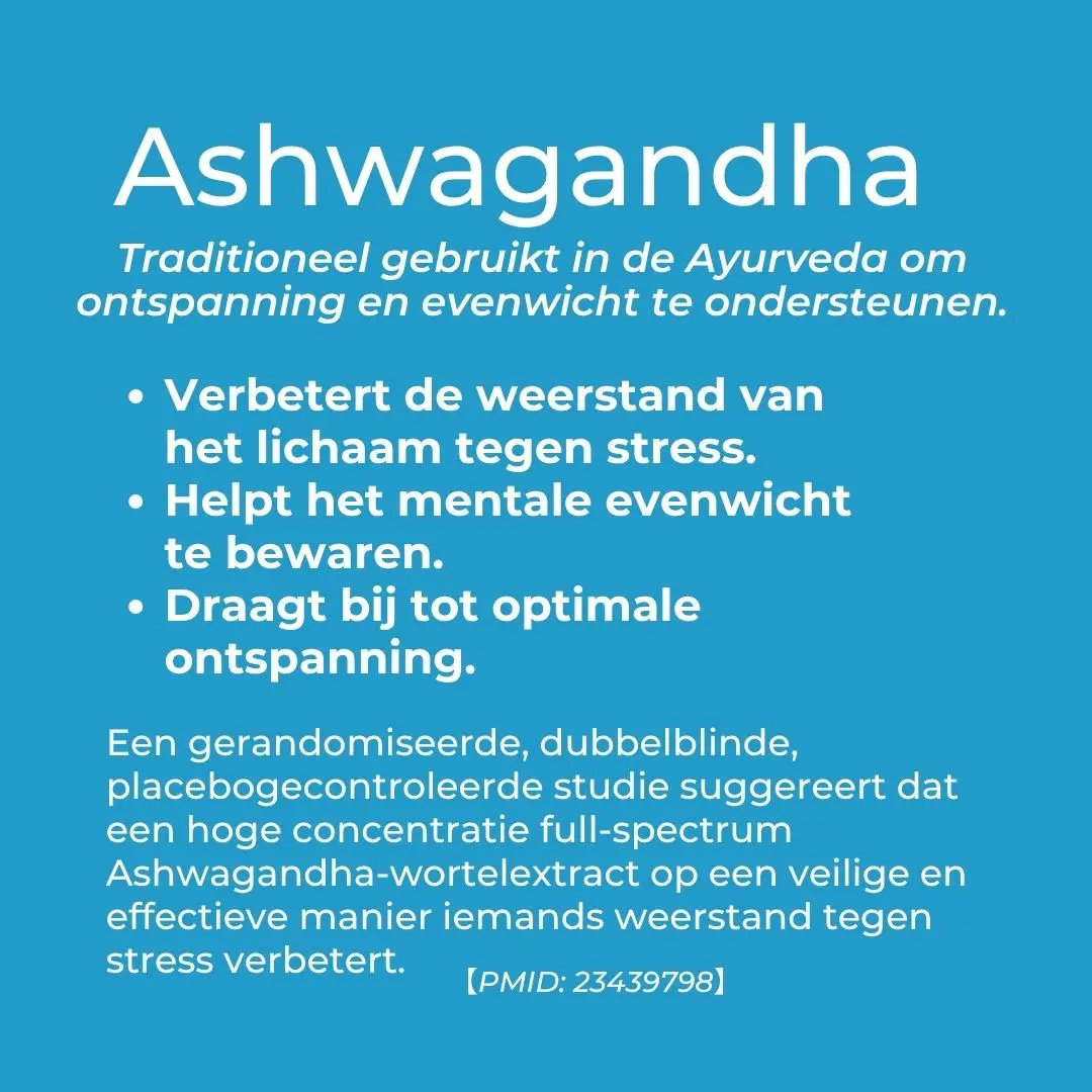 CBD Ashwagandha Relax Gummies - Image 4