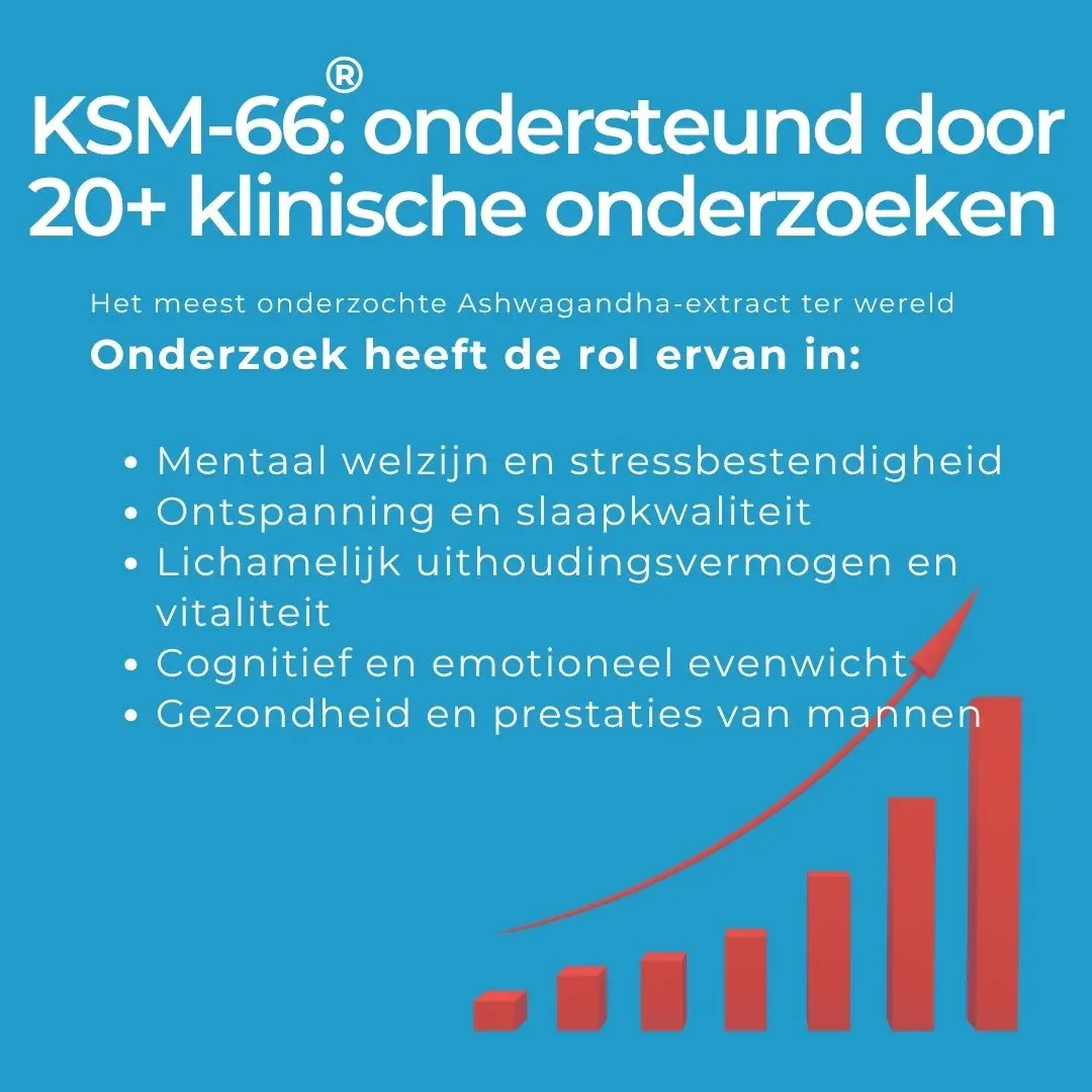 CBD Ashwagandha Relax Gummies - Image 5