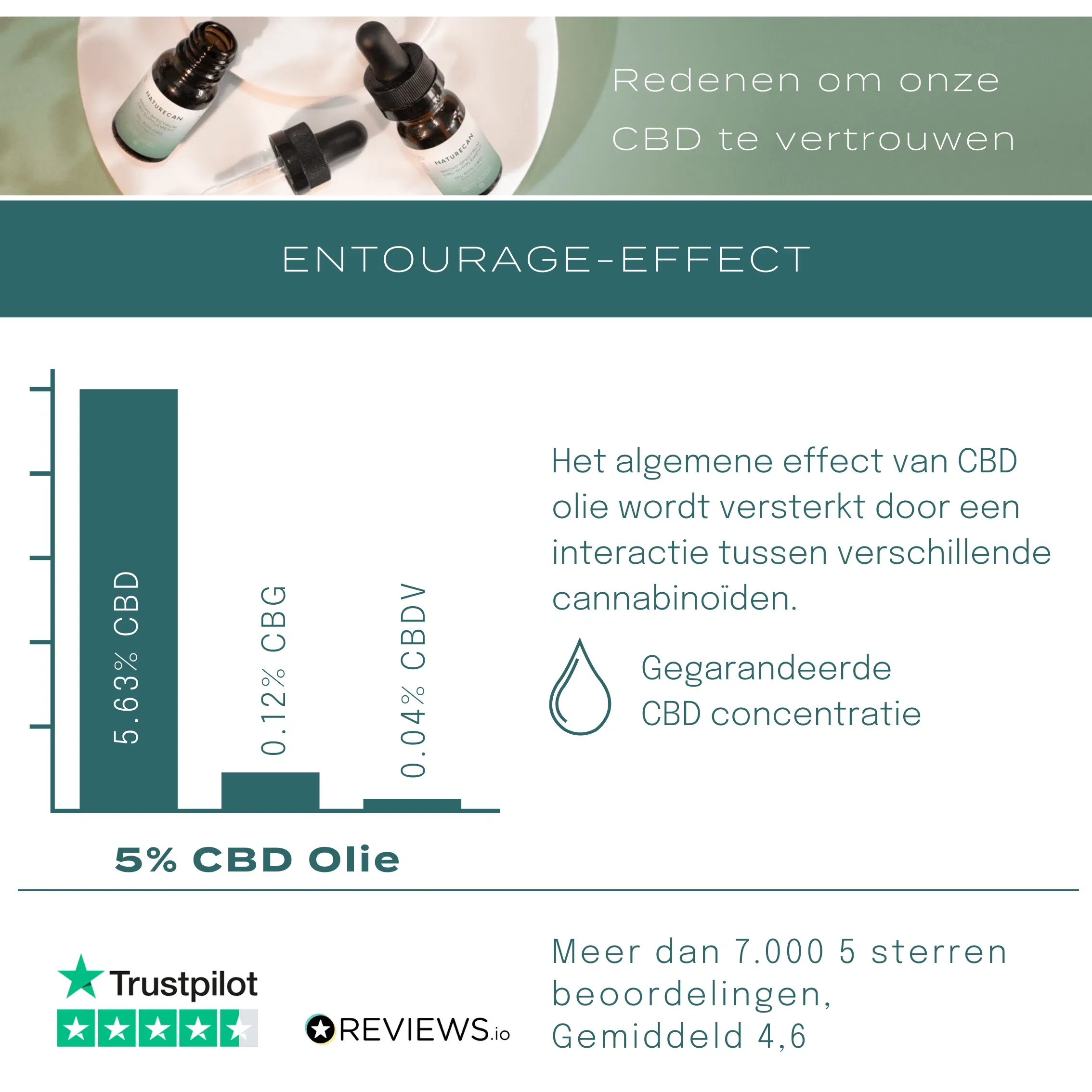 CBD Gummiberen - Image 4