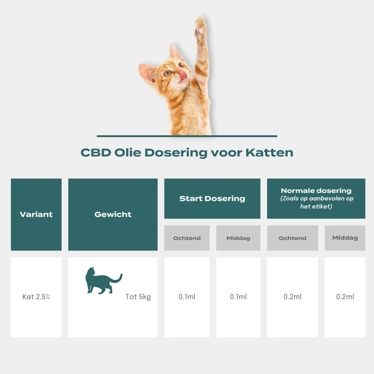 CBD Olie voor Katten - Image 3