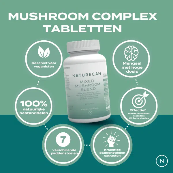 Lion's Mane & Chaga Mushroom Complex Tabletten - Image 3
