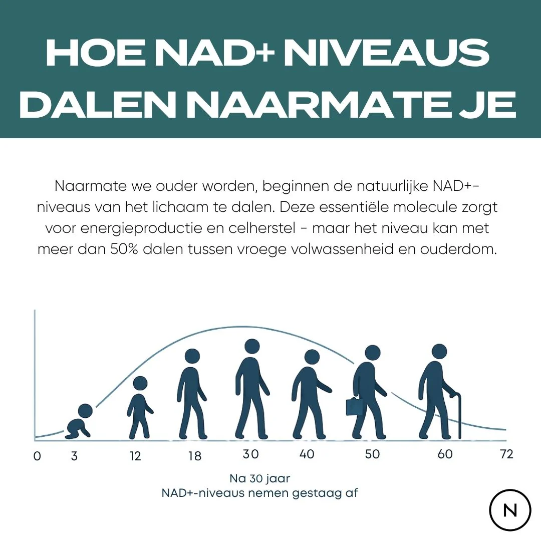 NMN Poeder - Image 4