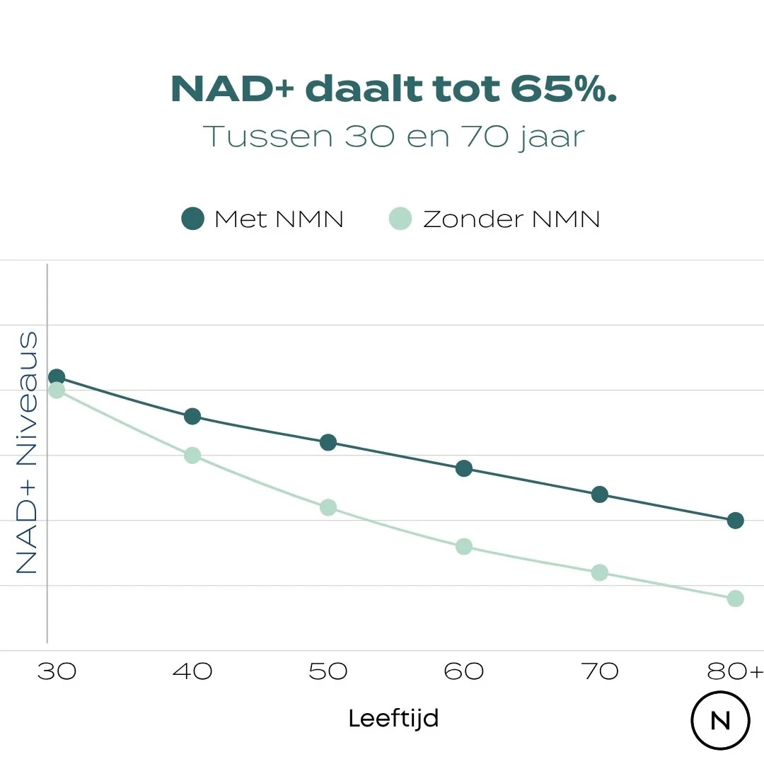 NMN Poeder - Image 5