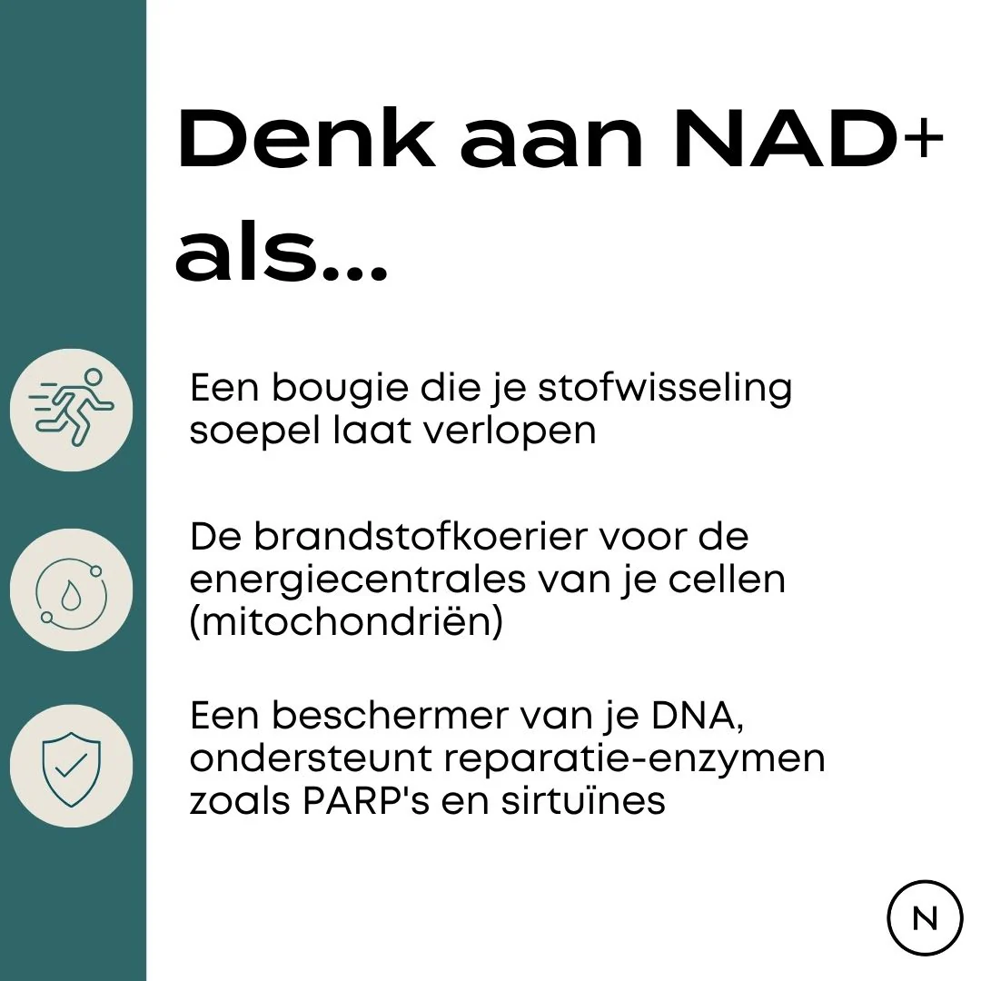 NMN Poeder - Image 6