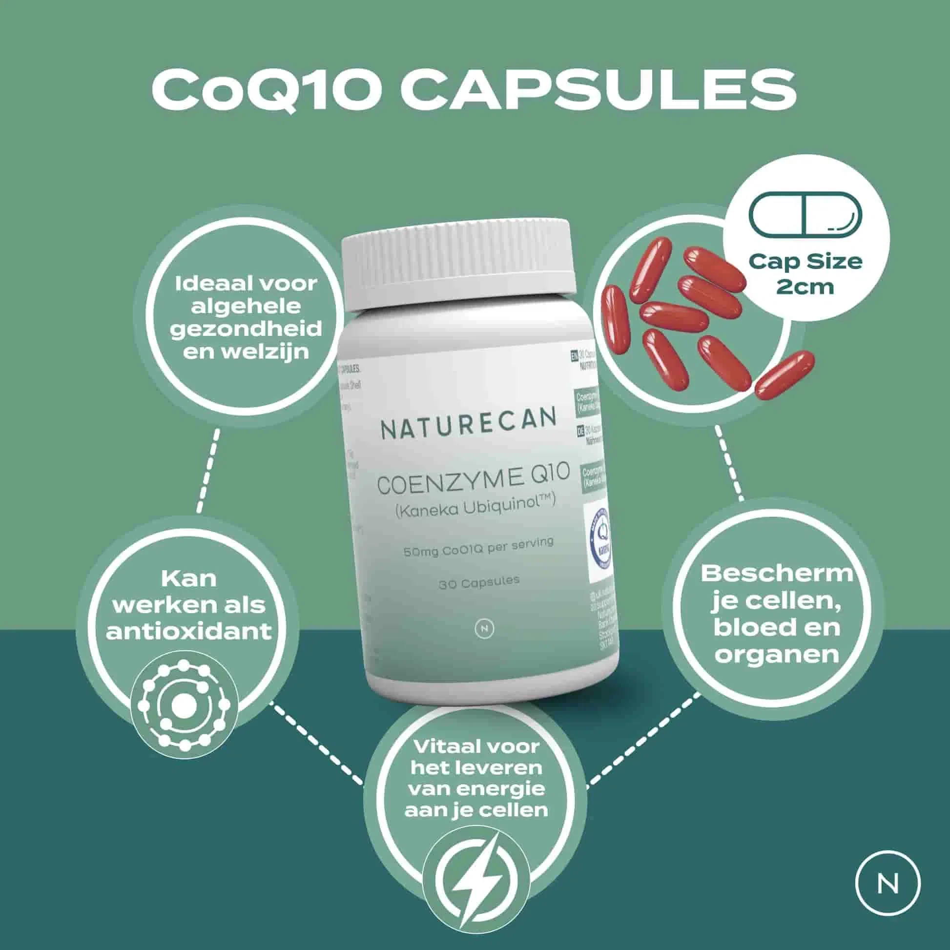 CoQ10 Capsules - Image 5