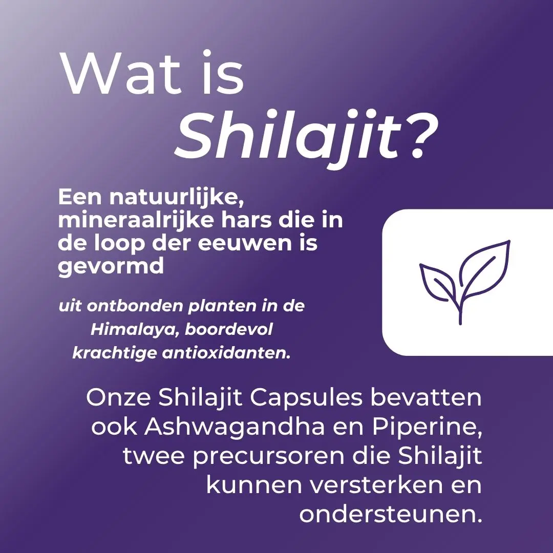 Shilajit Capsules - Image 3