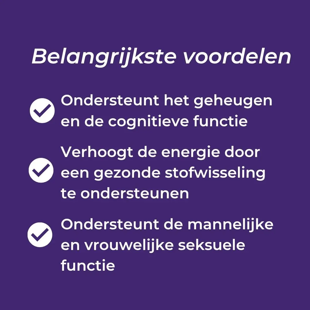 Shilajit Capsules - Image 4