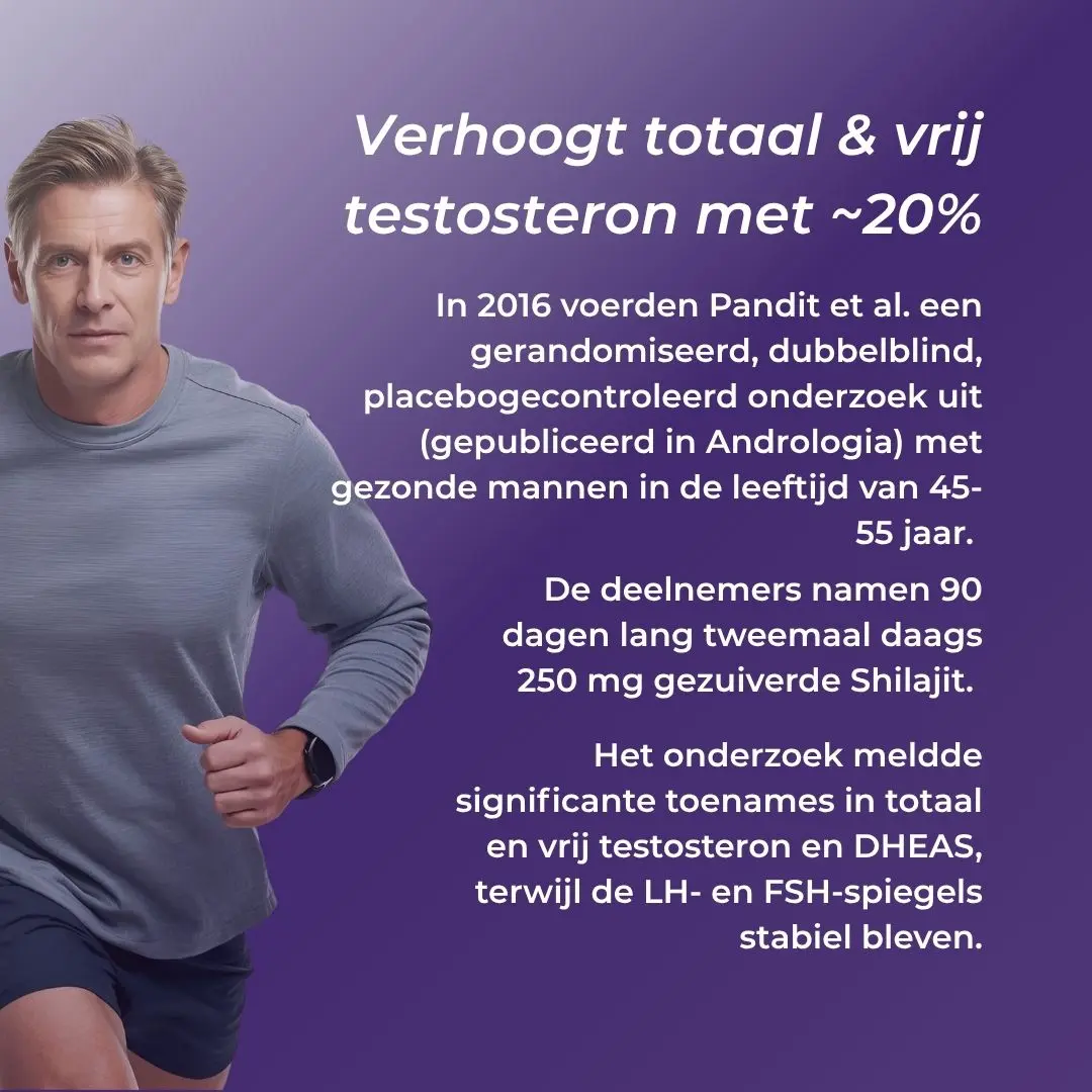 Shilajit Capsules - Image 6