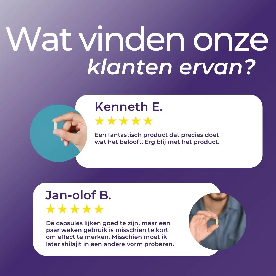 Shilajit Capsules - Image 9